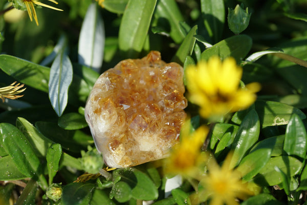 Natural Crystals Guide: How to Choose and Style Crystals for a Mindful Home