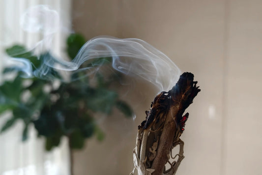 Close-up of a burning white sage with smoke, set against blurred green foliage and a beige background.
