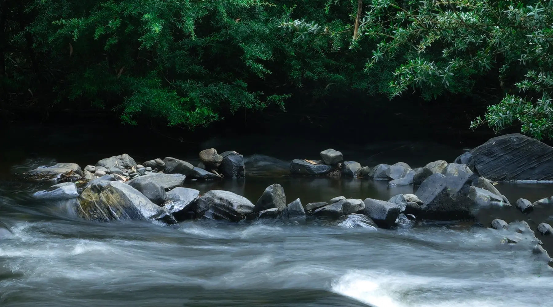 A landscape photo with stone in water stream and green tree as background, makes people feel quiet and peaceful.