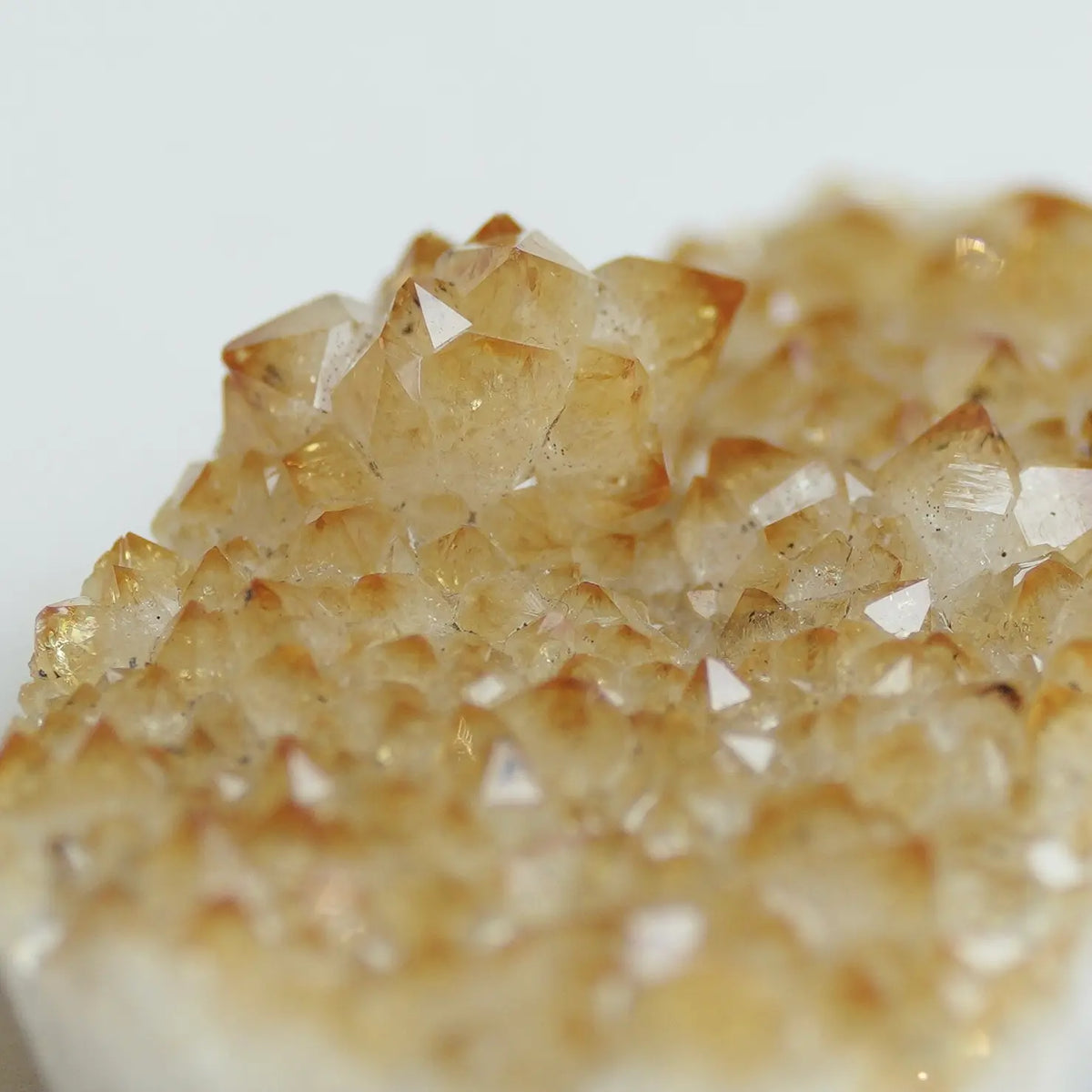 A close-up of a natural crystal cluster with translucent golden-yellow and amber faceted crystals on a white matrix, photographed against a soft light gray background.