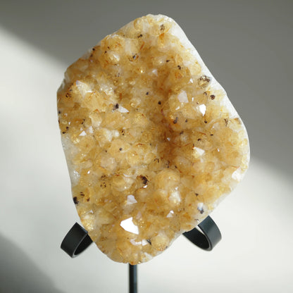 A raw crystal cluster specimen with dense golden-yellow and white quartz points, displayed on a black metal stand against a neutral gray background.