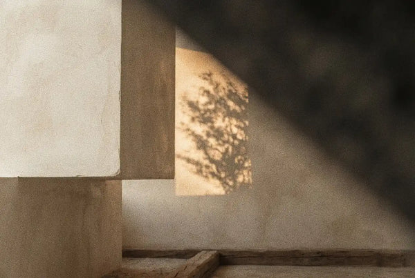 Shadow of tree branches cast on a beige textured wall with intersecting architectural lines and muted lighting.