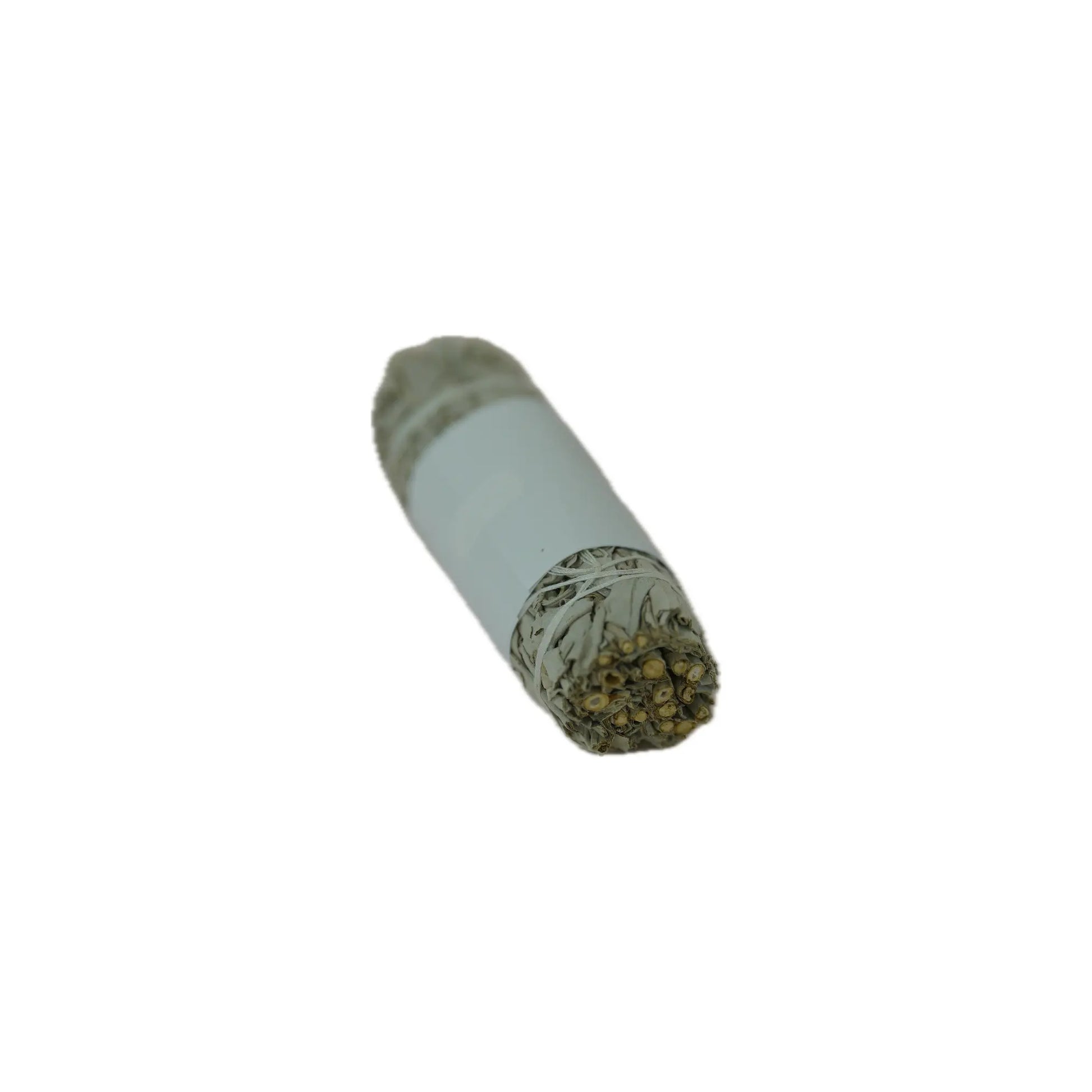 white sage smudge stick on white background